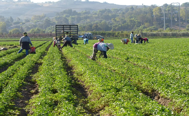 Yıllık İzin Ücreti Avans Ödenmezse Kıdem Tazminatı Hakkı Doğar mı?